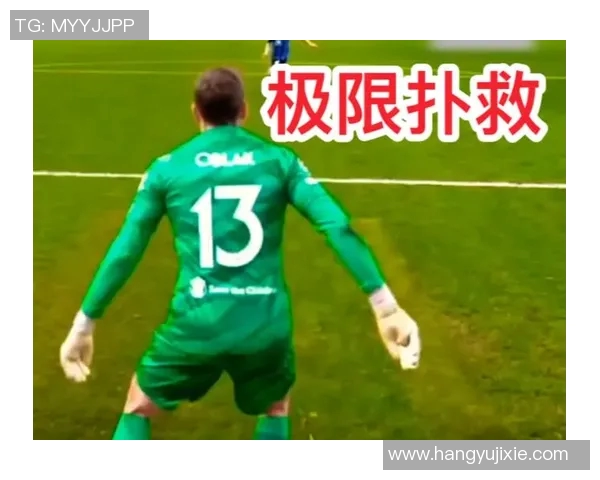 冰球比赛中守门员扑救决策与进攻策略的对比分析 冰球比赛中守门员扑救决策与进攻策略的对比分析