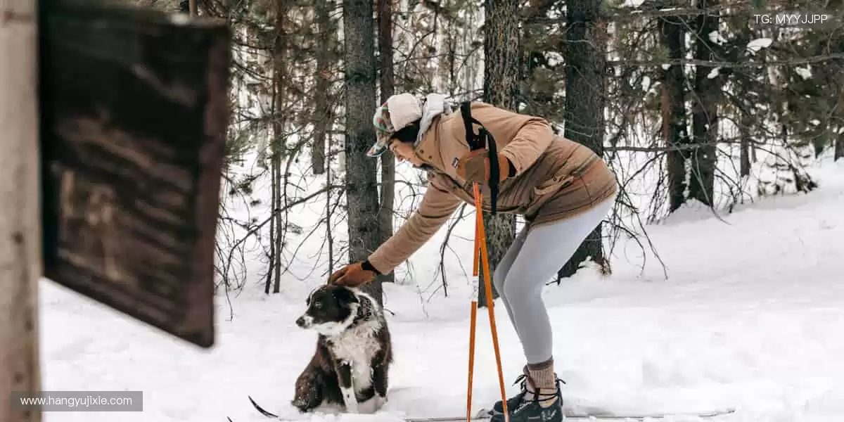 🌟🎮 周边精品,彰显热爱!